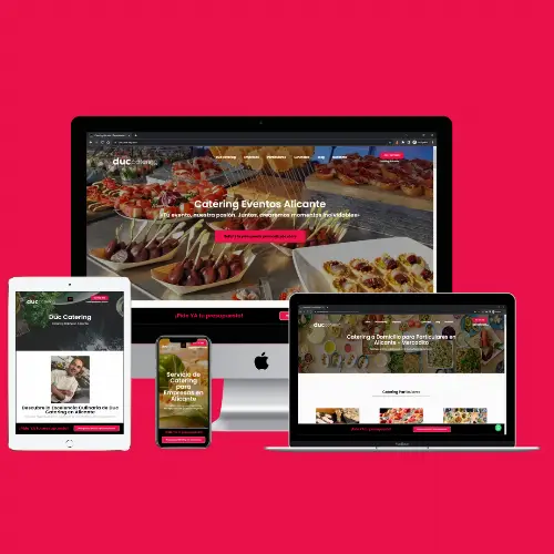 diseno web seo alicante duccatering